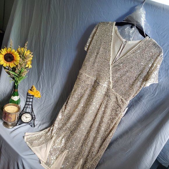 R and M RIchards Dresses & Skirts - R&M RICHARDS Petite V-neck Sequin Dress NWT